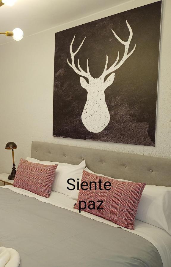 Origen Pelaire Excelente Limpieza Y Ubicacion Apartment Biescas  Luaran gambar